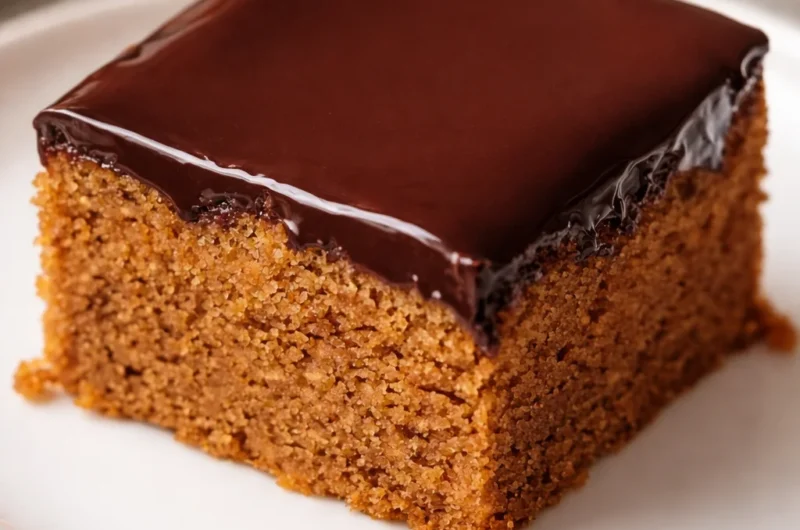 Slice of Traditional German Honey Cake (Honigkuchen) with chocolate glaze and apricot jam.